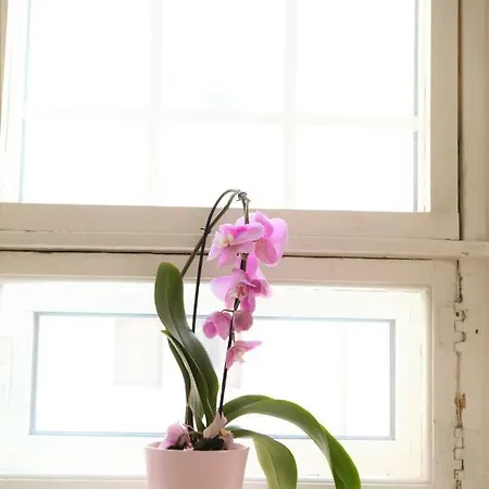 Here Liisa Apartment *
